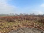 Land for Sale in Borehamwood, Ridge, Hertfordshire, WD6 5PQ